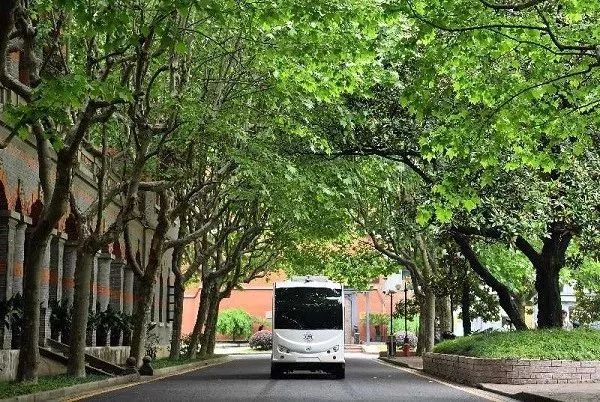 在梧桐树下迷路—一份带点私心的上海高校游指南 在梧桐树下迷路—一份带点私心的上海高校游指南