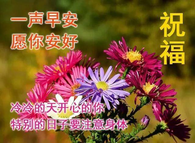 成都今天这雨下得，让人心里也跟着潮乎乎的。早上刷手机，看到本地宝弹出来的消息，手一抖，豆浆差点洒桌上—成都又新增了2例确诊病例。你说这日子，什么时候才是个头
