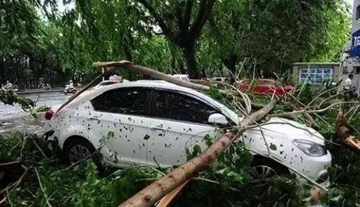 冰雹砸下来的时候,我的车到底该怎么办 冰雹砸下来的时候,我的车到底该怎么办